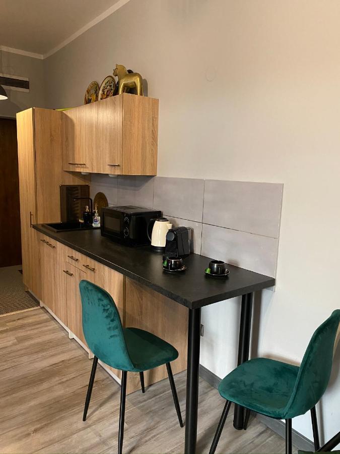Apartament Czarne Zloto Katowice Esterno foto